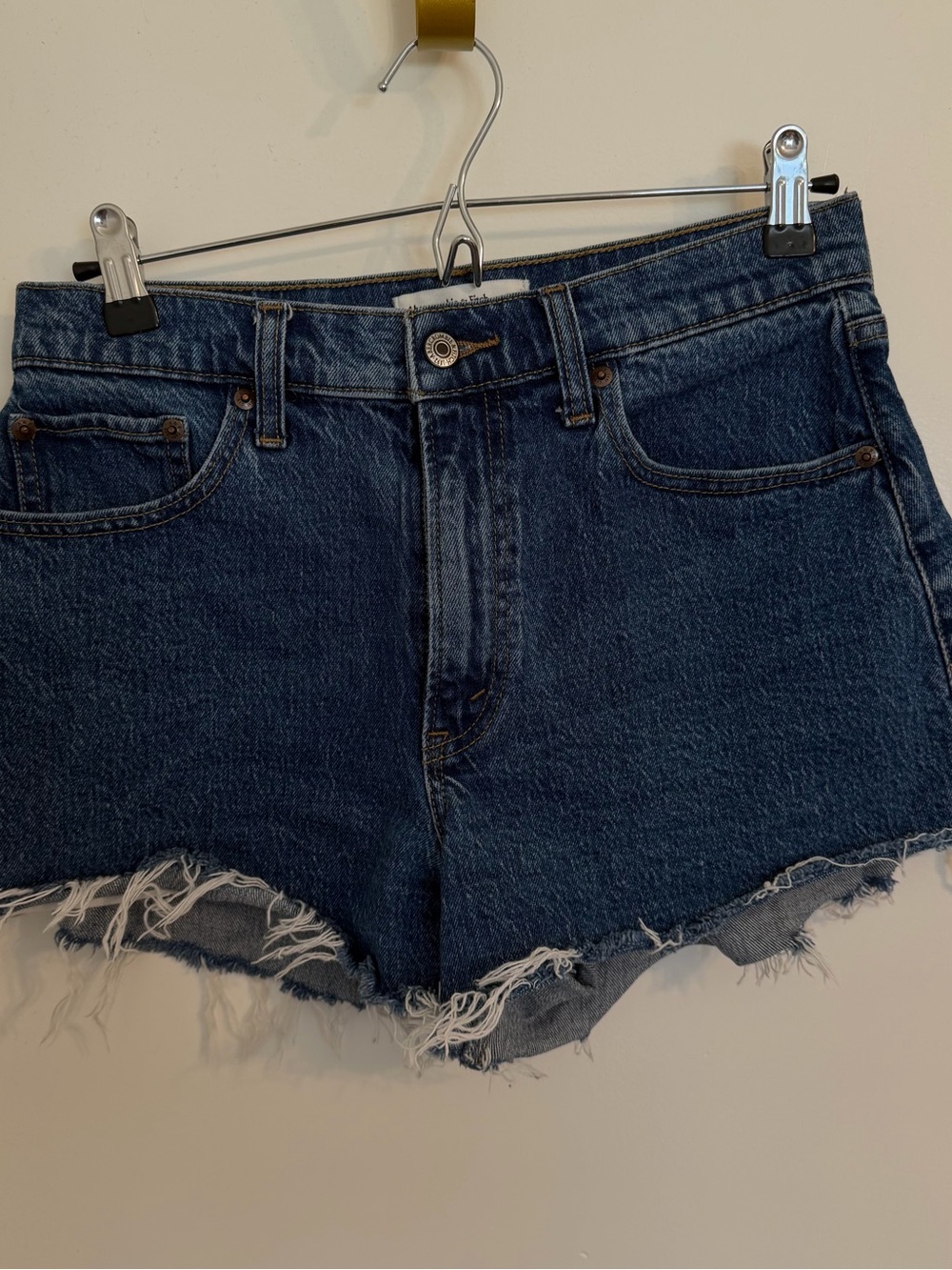 Abercrombie & Fitch | 90s Relaxed Shorts | 27 | Curve Love